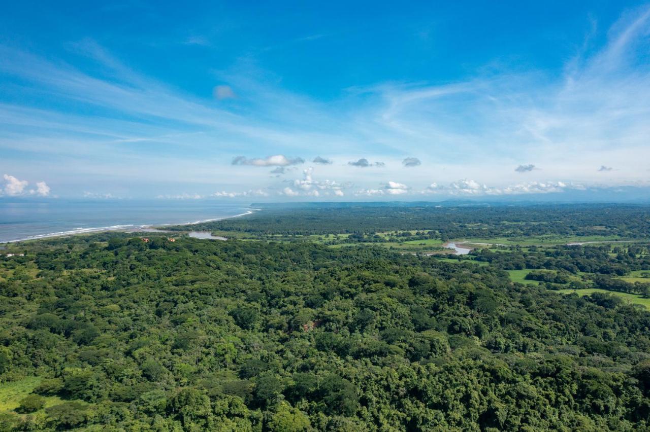 Villa Lapas Jungle Village Tárcoles Dış mekan fotoğraf