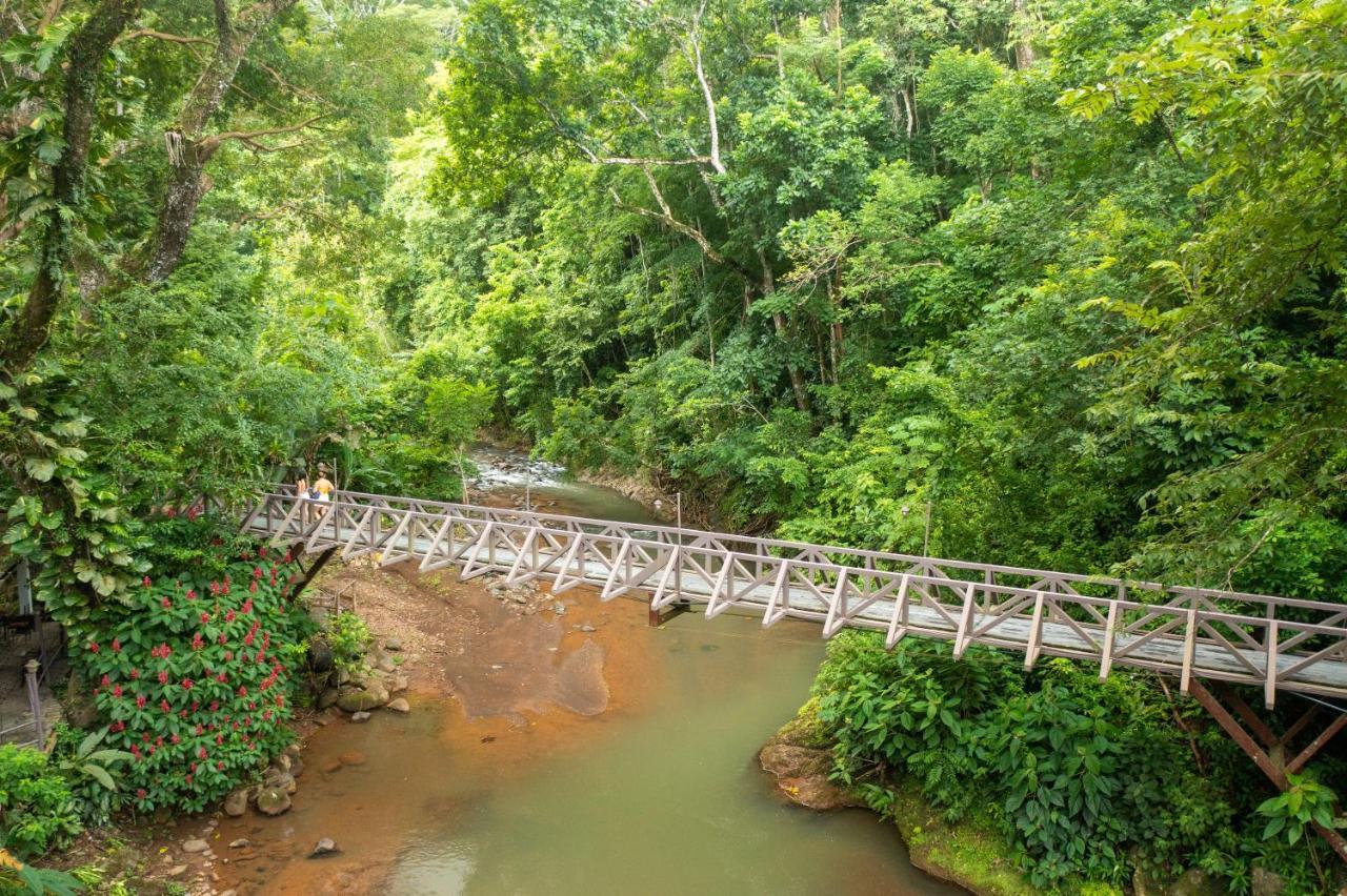 Villa Lapas Jungle Village Tárcoles Dış mekan fotoğraf