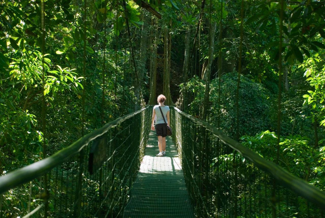 Villa Lapas Jungle Village Tárcoles Dış mekan fotoğraf