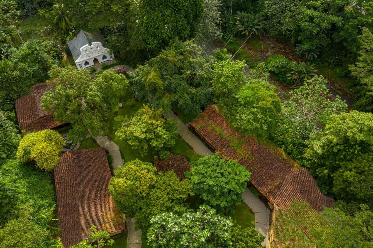 Villa Lapas Jungle Village Tárcoles Dış mekan fotoğraf