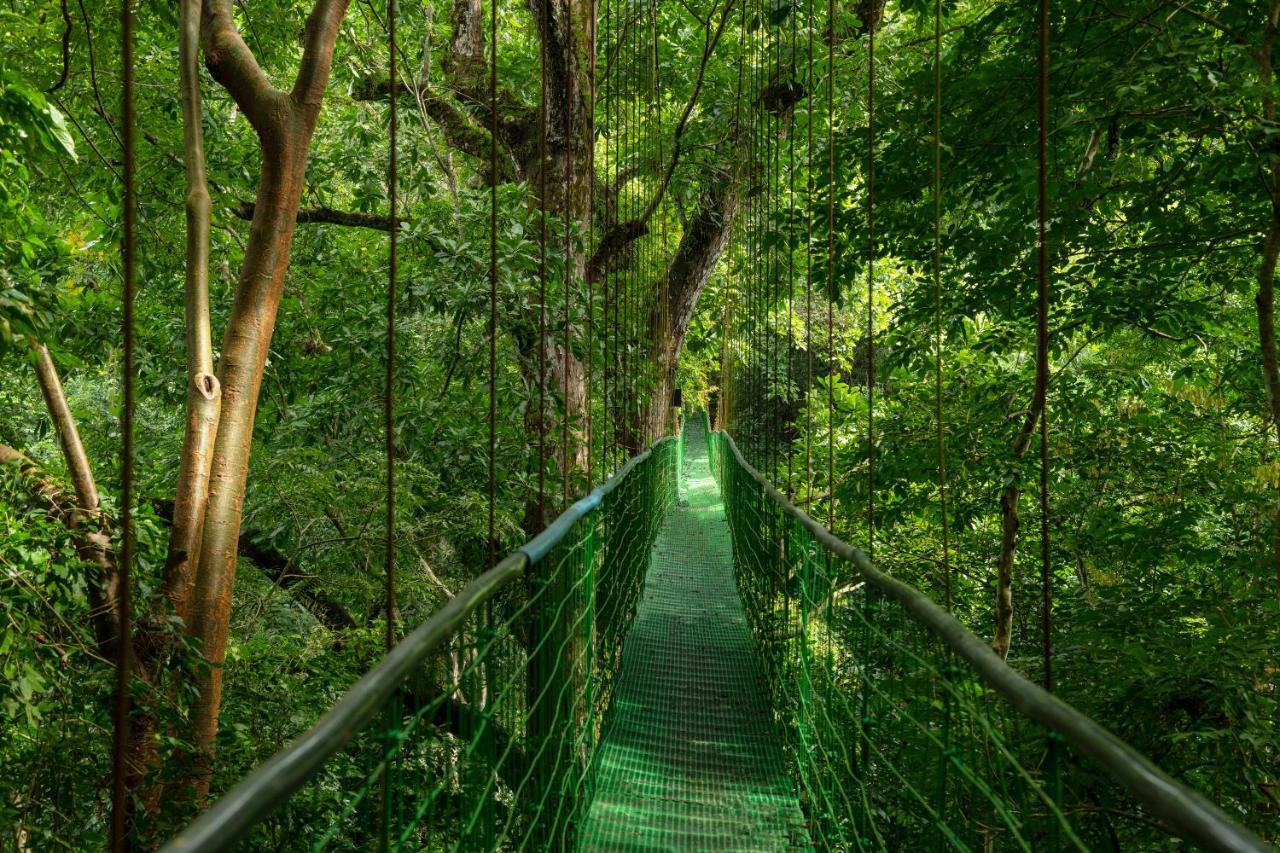 Villa Lapas Jungle Village Tárcoles Dış mekan fotoğraf
