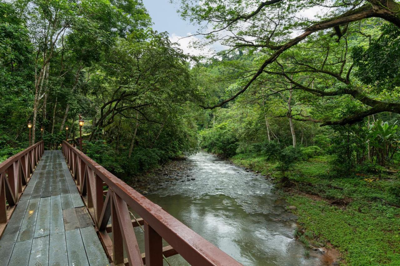 Villa Lapas Jungle Village Tárcoles Dış mekan fotoğraf
