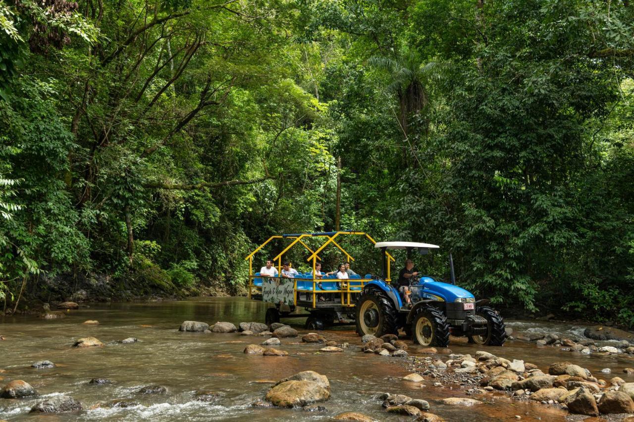 Villa Lapas Jungle Village Tárcoles Dış mekan fotoğraf
