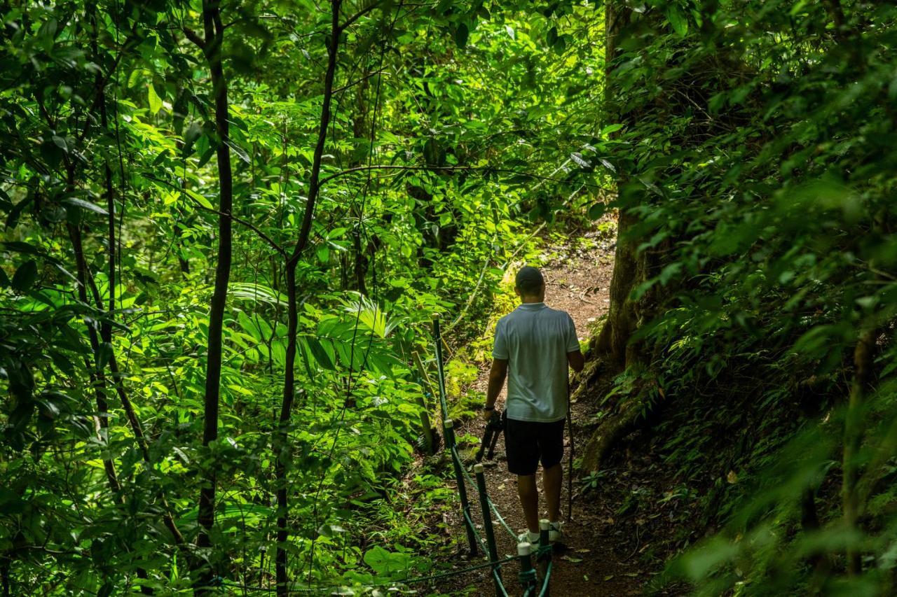 Villa Lapas Jungle Village Tárcoles Dış mekan fotoğraf